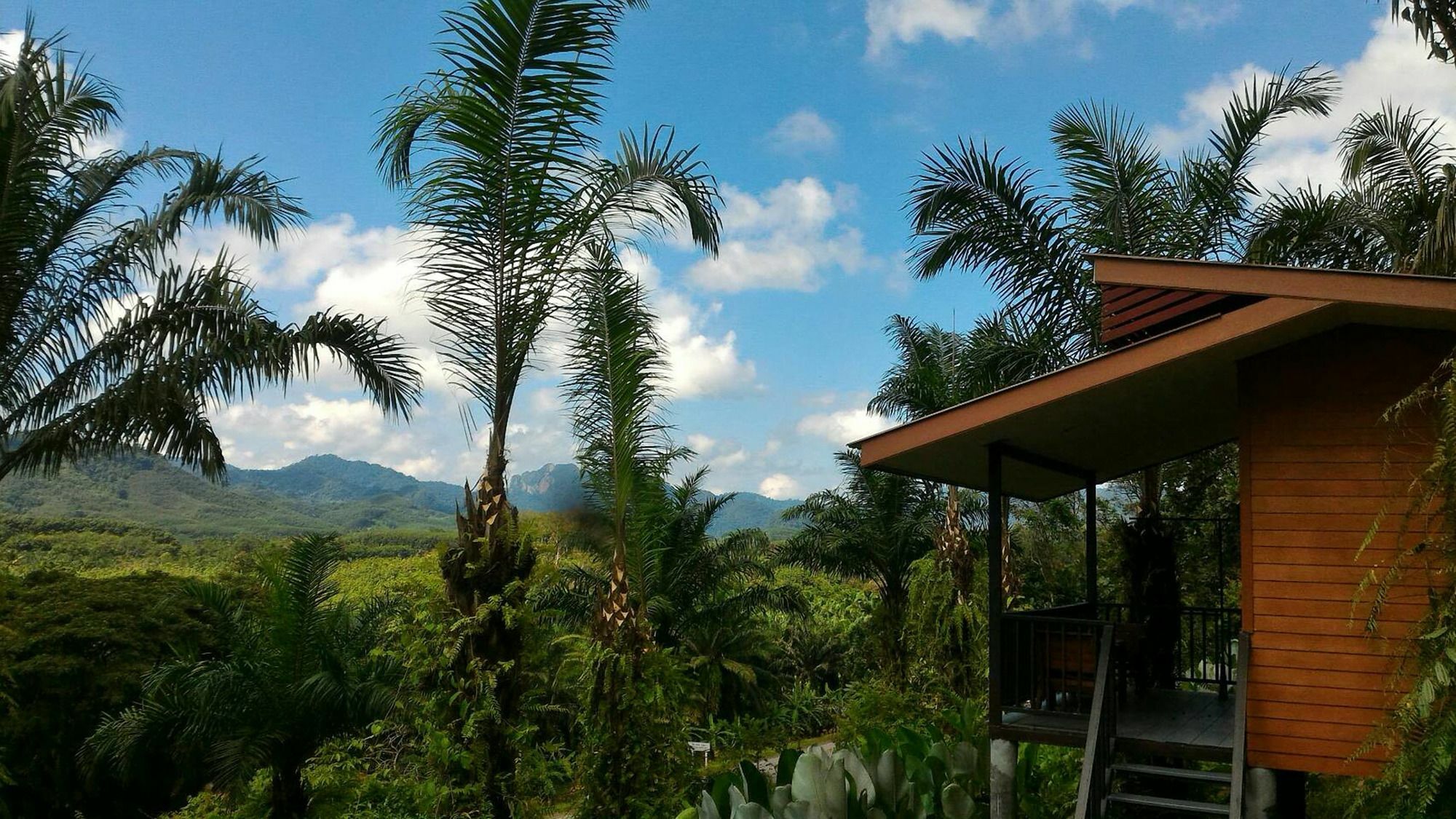 Khao Sok Horizon 호텔 Phanom 외부 사진